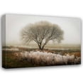 thumbnail image 1 of Vitaly Geyman 37x28 Gallery Wrapped Canvas Wall Art Titled - Tranquility I, 1 of 4