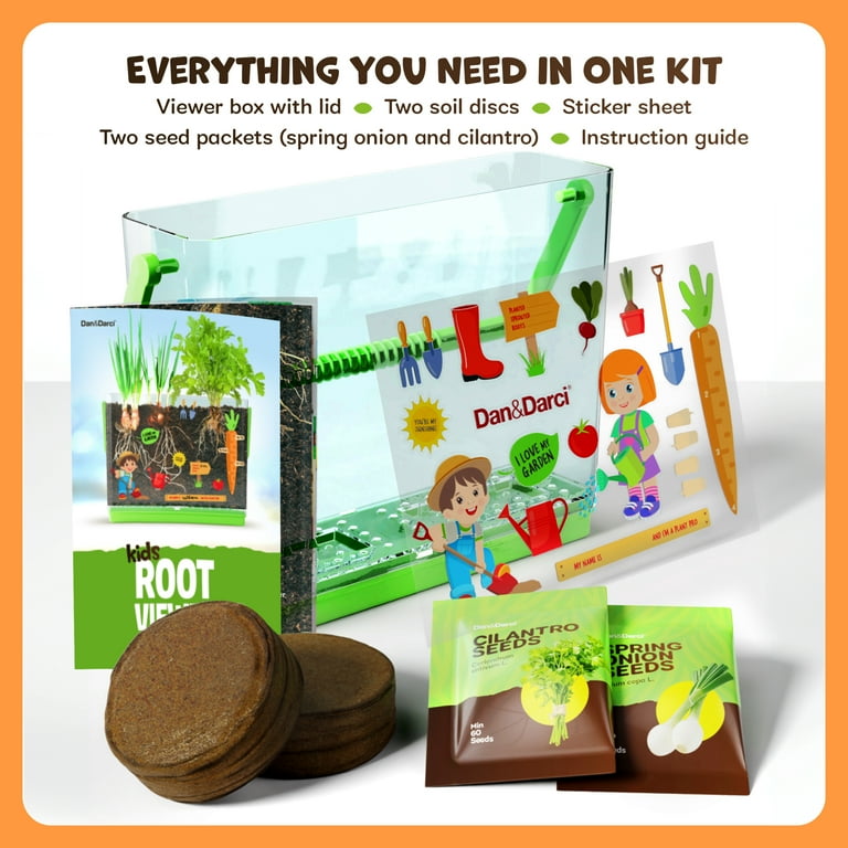 D&D Root Viewer Kit, STEM Gardening Toy for Kids, Grow Plants