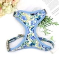 thumbnail image 4 of Pet Artist 3pcs Printed Dog Harness and leash and Personalized Dog Collar Set Custom Engraved, 4 of 8