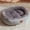 Winter Warm Oval Pet Bed Under $5 a4, variant on sdhkgrrt Winter Warm Oval Pet Bed, Oval Dog Bed For Winter Warmth, Cozy Fleece Pet Pad For Cats And Dogs, Heated Pet Bed Indoor Outdoor Use, Luxury Orthopedic Dog House Bed
