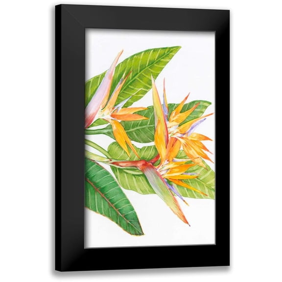 OToole, Tim 10x14 Black Modern Framed Museum Art Print Titled - Exotic Flowers II