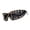 S1, variant on Punk Rimless SunGlasses with UV400 Protections for Outdoor Activity Eyeglasses with Cord Wrap Around for Night Party