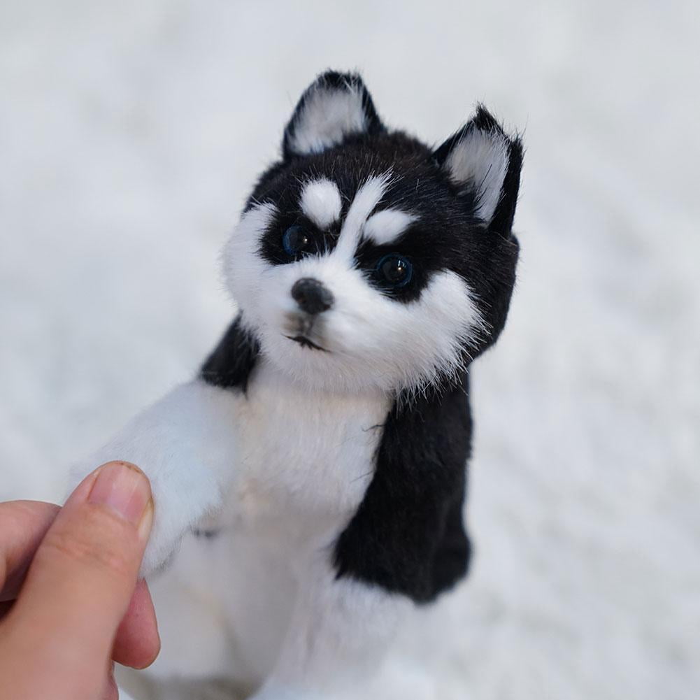 Realistic Husky Plush Stuffed Pet Dog Simulation Toy To Stuffed Dog 2024 UKSELLE T1J7