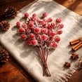 thumbnail image 7 of Cififendec 10Pcs Christmas Artificial Frosted Red Berry Branches, 8.66", Christmas Snow Dusted Berry Sprigs for Christmas Sideboard Vase Floral Arrangement Blueprint, 7 of 7