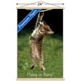 thumbnail image 3 of Famous Kitten Hang In There Poster Wall Poster, 22.375" x 34", 3 of 5