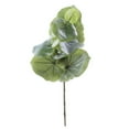 thumbnail image 1 of Danson Decor 28" tropical eucalyptus spray, 1 of 1