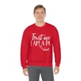 thumbnail image 5 of PA School Student Sweatshirt, Gifts, Sweater Shirt, 5 of 9