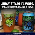 thumbnail image 4 of Terrapin Beer Company, Luau Krunkles, IPAs, Craft Beer, 12 Pack, 12 fl oz Aluminum, 6% ABV,, 4 of 10