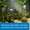 thumbnail image 5 of API Ammo Lock Detoxifies Aquarium Ammonia [Aquarium, Aquarium Supplies] 16 oz (Treats 946 Gallons), 5 of 6