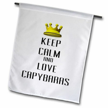 3dRose Crown Keep Calm and Love Capybaras Polyester 2 3   x 1 6   Garden Flag