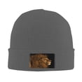 thumbnail image 2 of XMXT Winter Casual Beanie Hats for Men Women, Lion Mane Hair Painting Unisex Adult Cap Warm Daily Knit Hat Skull Caps, Deep Heather, 2 of 9
