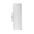 thumbnail image 1 of Eglo USA Riga 8400 Outdoor Wall Light, 1 of 10