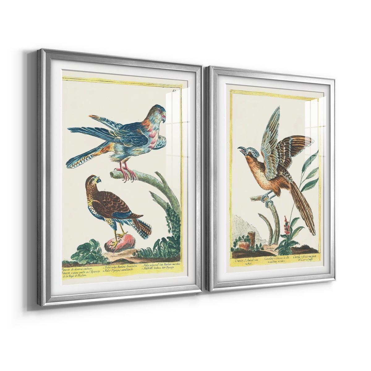 Wexford Home Pastel Birds V Premium Framed Print, 22.5" x 30.5" - Ready to Hang, Silver (Set of 2)