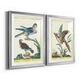 thumbnail image 2 of Wexford Home Pastel Birds III Premium Framed Print, 22.5" x 30.5" - Ready to Hang, Silver (Set of 2), 2 of 9