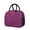 Pink and Black-2, variant on Womens Pink and Black Of Leopard Print Lunch Box for Work,Insulated Lunch Bag for Women,Loncheras Para Mujer,Leakproof Adult Lunch Bag for Work,Beach,Travel,Picnic,Camping