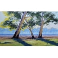 thumbnail image 2 of Gercken, Graham 32x21 Gold Ornate Wood Framed with Double Matting Museum Art Print Titled - Australian Gums, 2 of 4