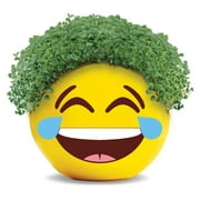 Emoji Tears of Joy Chia Pet Handmade Decorative Planter by JEI