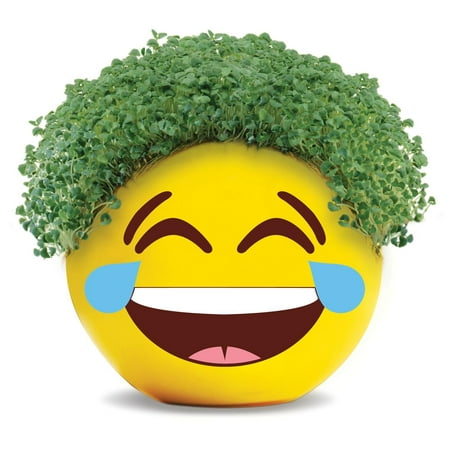 Emoji Tears of Joy Chia Pet Handmade Decorative Planter by JEI