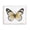 French Country Butterfly_v1, variant on Stupell Industries Farmhouse Black Framed Giclee Art, 14 x 11, by Janet Tava