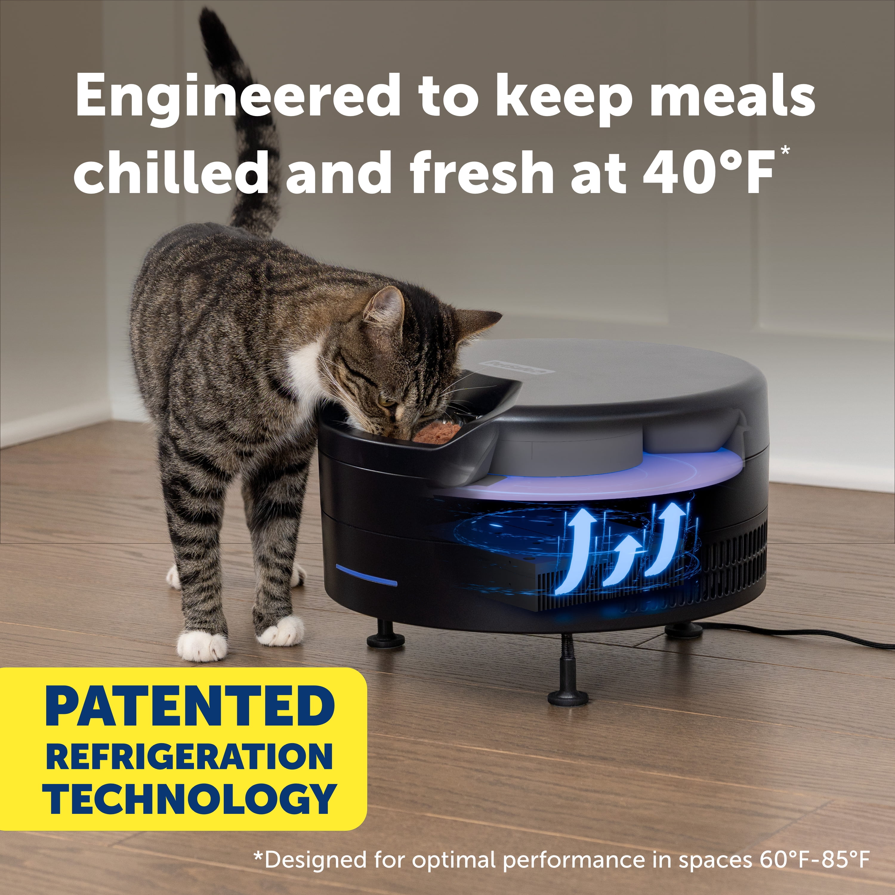 PetSafe FreshFeed Refrigerated Pet Feeder – Automatic Wet Food Feeder for Cats & Small Dogs – App Control – 6 Fresh Meals – Stainless Steel Inserts – Black