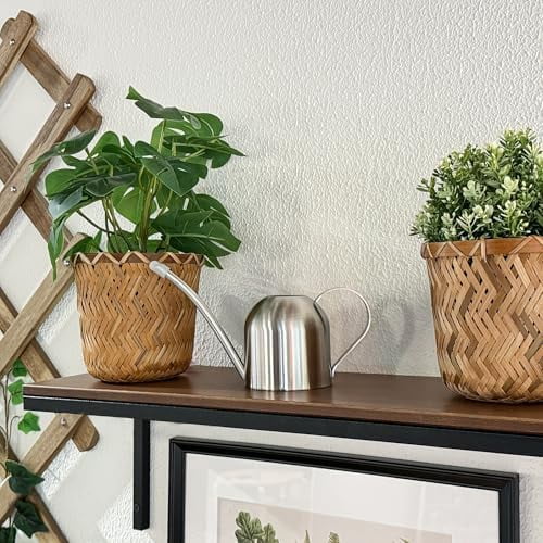 Small Watering Can for Indoor Plants Stainless Steel Bonsai Watering can Mini Metal (15oz/450ml)