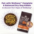 thumbnail image 6 of Wellness Bowl Boosters, Dog Food Topper for Small, Medium, & Large Breeds, Grain Free, Natural, Freeze Dried, Joint Health Chicken, 4 Ounce Bag (Pack of 1), 6 of 8
