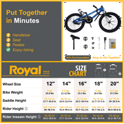 Royalbaby Freestyle 18 Kids Bicycle for Boys Girls, Ages 6-9 Years, Blue
