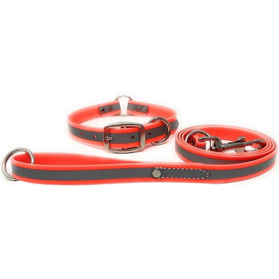 Regal Dog Products Heavy Duty Reflective Center Ring Collar & 5ft Leash Set