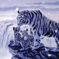 thumbnail image 2 of CafePress - White Tigress And Her Cubs - Pint Glass, Drinking Glass, 16 oz. CafePress, 2 of 4
