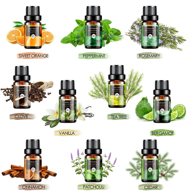 Ceither Top 6 Aromatherapy Essential Oils Set 10ml Natural Oils For Massage  Diffusers Humidifiers Clean Skin&hair care