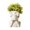 C, variant on Orangide Skull Planters Ceramic White Halloween Tabletop Decor for Plant Plants Home Office Desk Shelf Display Living Room