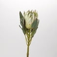 thumbnail image 3 of D&W Silks - White Large Protea Flower Stem - Set of 3, 3 of 9