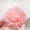 A, variant on Floral Scented Aromatherapy Candle for Valentine's Day, Long-Lasting Simulated Flower Wax Candle with Romantic Ambiance, Home Decor Gift for Special Occasions
