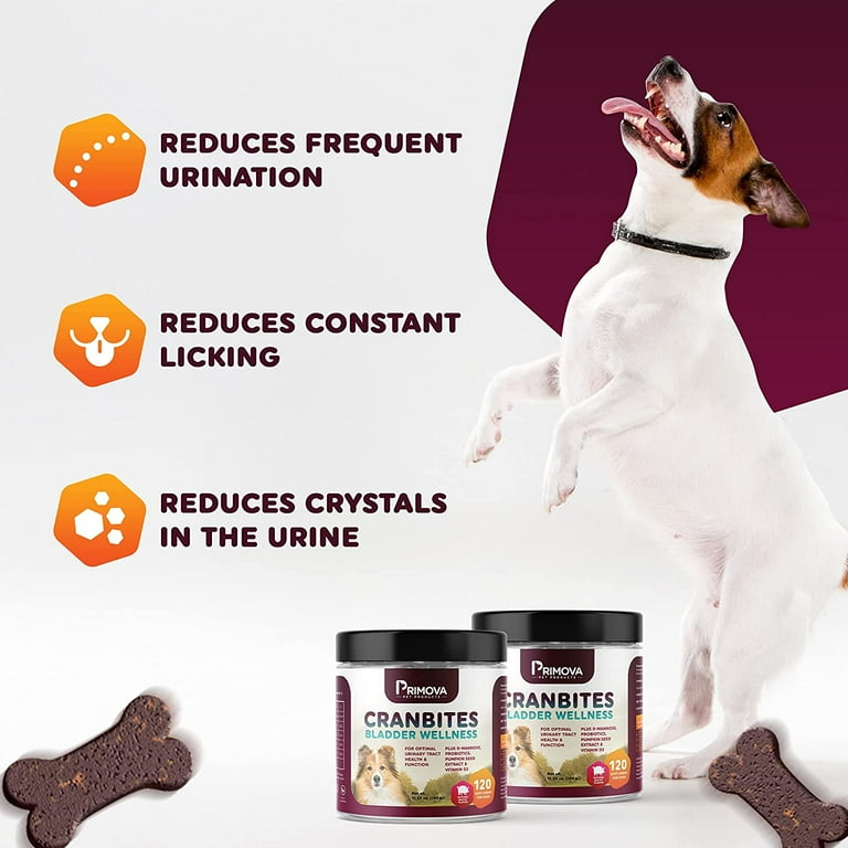Dog uti treatment over the counter top