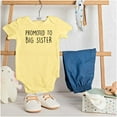 thumbnail image 3 of Promoted Big Sister Expecting Sibling Bodysuit Jumper Girls Infant Baby Brisco Brands 12M, 3 of 6