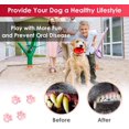 thumbnail image 4 of Food Grade Rubber Freezable Dog Chew Toy for Aggressive Chewer, 4 of 4