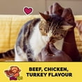 thumbnail image 4 of Temptations MixUps Chicken, Beef & Turkey Flavour Soft & Crunchy Cat Treats, 4 of 9