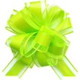 thumbnail image 1 of sxvblly 6 PCS Large Pull Bows 6 Inch Fruit Green Bows for Gift Wrapping Wedding Basket Decorated Birthday Party Christmas Gift Boxes Flower Decorations, 1 of 5