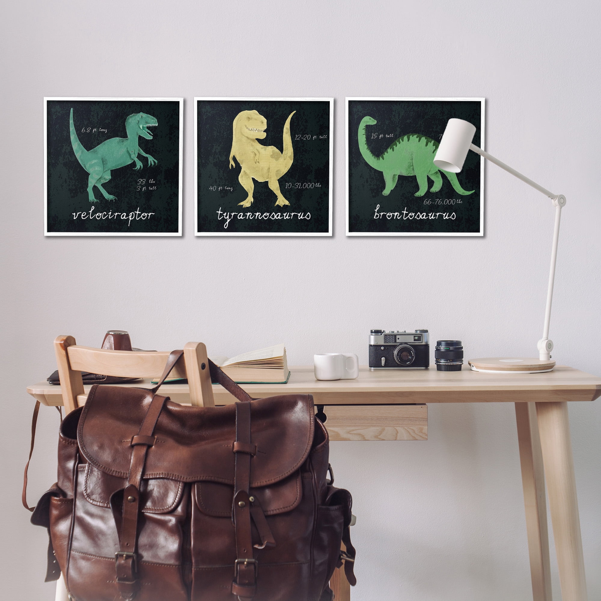 Stupell Industries Dinosaur Facts Chalk Inspired Design Animals & Insects Painting White Framed Art Print Wall Art, 17 x 17, Set of 3