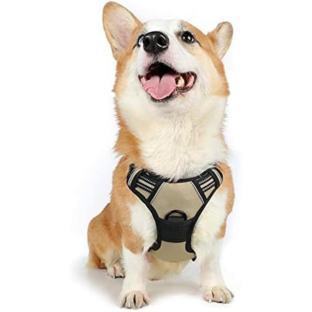 rabbitgoo Dog Harness No-Pull Pet Harness with 2 Leash Clips Adjustable Soft Padded Dog Vest Reflective No-Choke Pet Oxford Vest with Easy Control Handle for Large Dogs Orange L