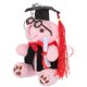 thumbnail image 3 of KAKOWELY Llavero con forma de oso de graduación, colgante para bolso, gorro de graduación, osito de peluche, decoración., 3 of 4