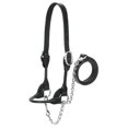 thumbnail image 1 of Weaver Leather Dairy/Beef Rounded Show Halter, Black, Small, 1 of 3