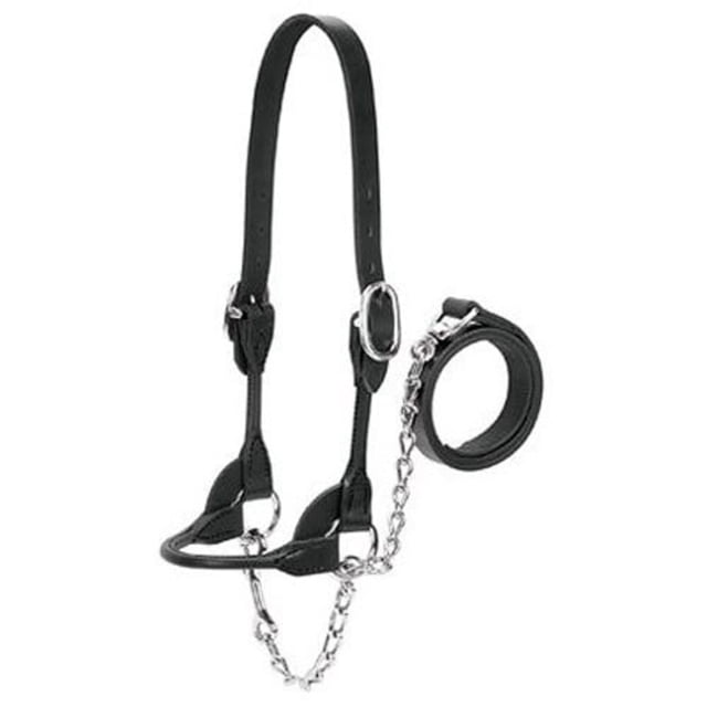 Weaver Leather Dairy/Beef Rounded Show Halter, Black, Small