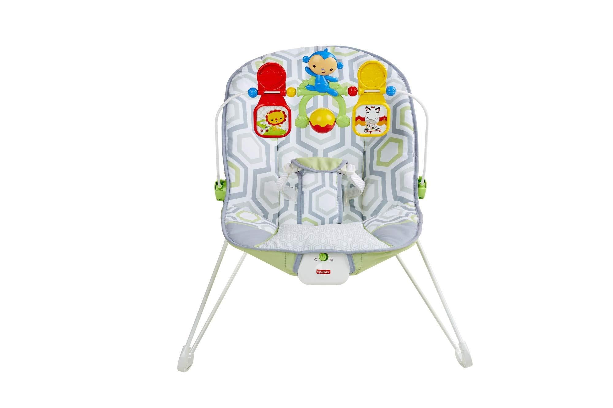 fisher price bouncer geo meadow