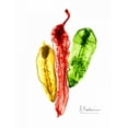 thumbnail image 2 of Koetsier, Albert 15x18 Gold Ornate Wood Framed with Double Matting Museum Art Print Titled - Peppers Picante, 2 of 4