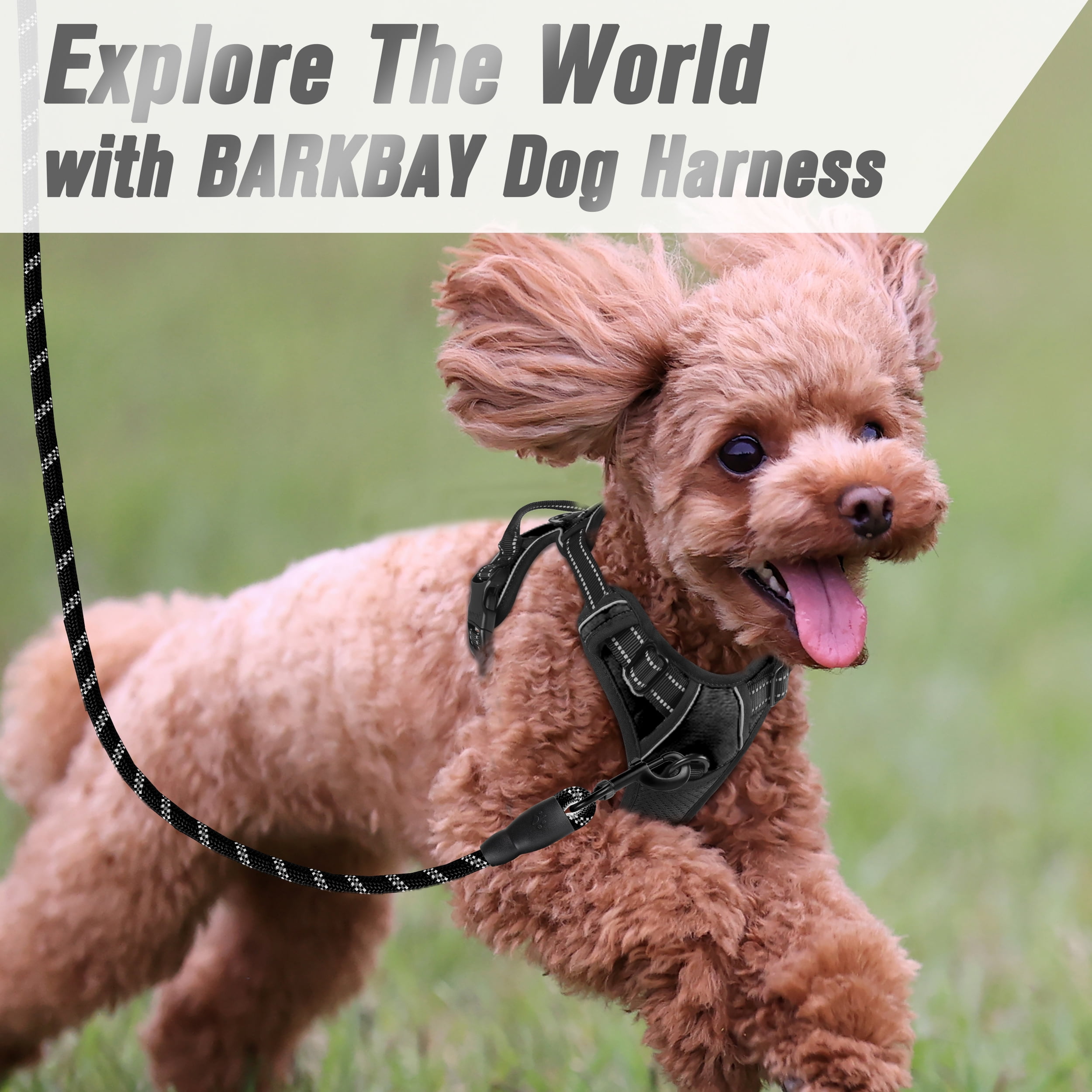BARKBAY No Pull Dog Harness for Large Dogs with 2 Metal Leash Clips Reflective and Easy Control Handle for Walking Training Running Black,S