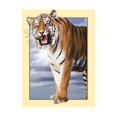 thumbnail image 1 of de Pintura Animal Amante Taladro Completo Espacio Exterior DIY 5D Diamante Decoración de Hogar 35x45 Multi, 35x45 cm Sunnimix Pintura del diamante DIY, 1 of 8