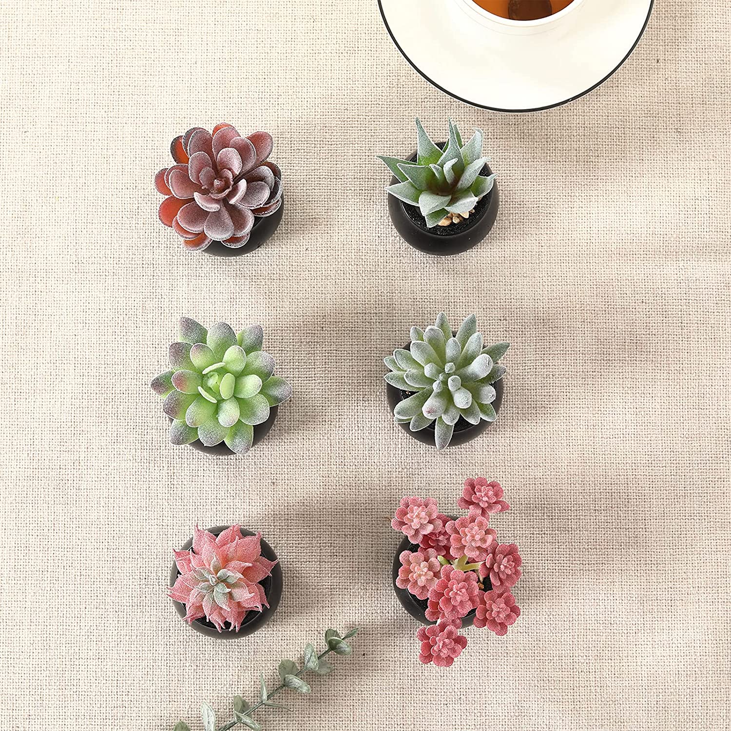 Mini Fake Succulent Plants Artificial Plastic Succulents Potted Faux Assorted Plants for Home Office Table Decoration, Set of 6 (White Plastic Pots)