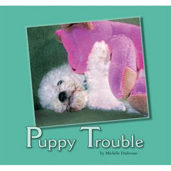Pre-Owned Puppy Trouble (Paperback) 1932570578 9781932570571
