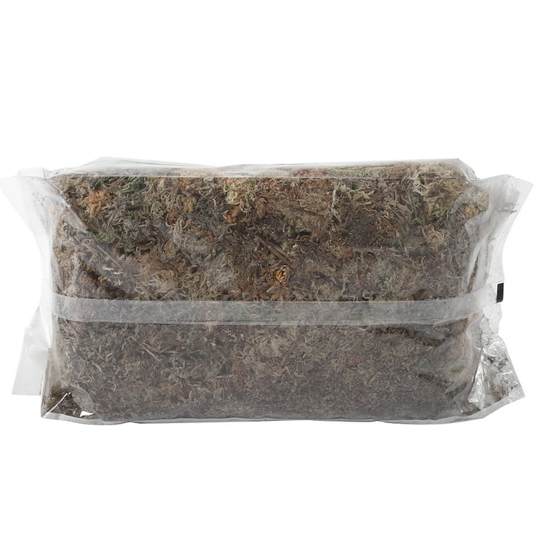 ZeeDix 6OZ Premium Sphagnum Moss for Plants, 8QT Natural Long Fibered  Orchid Moss Sphagnum Peat Moss Bulk for